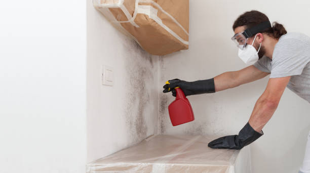 Professional Mold Cleanup technician working in Holbrook, NY