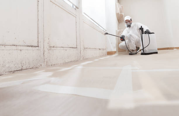 24/7 Emergency Mold Cleanup experts in Holbrook, NY